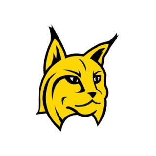 Lynx 360